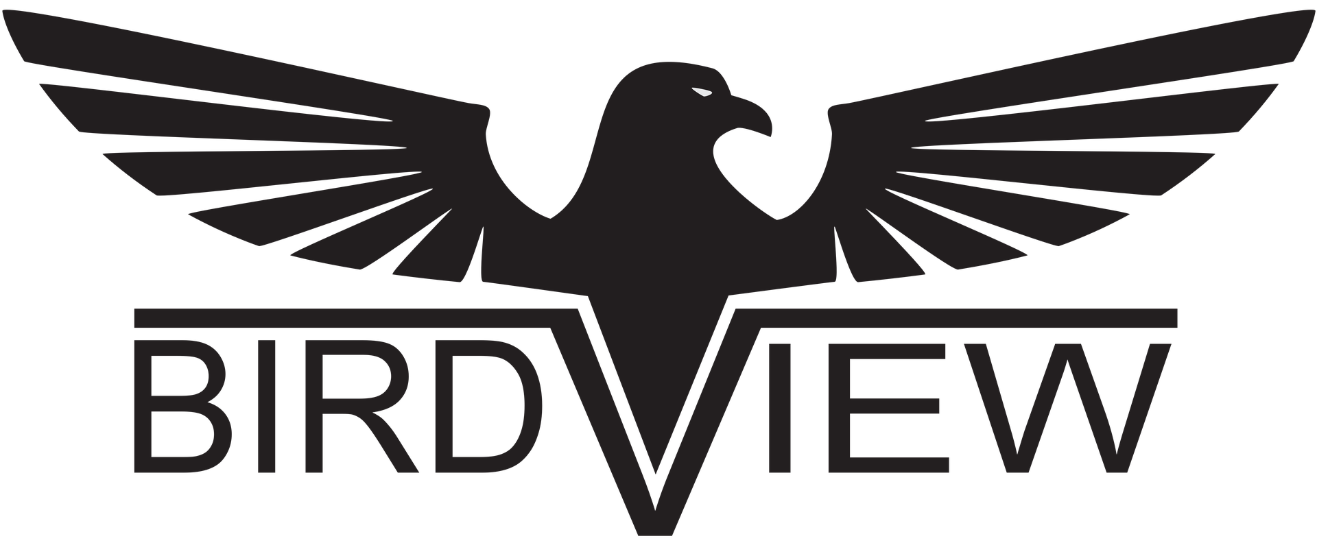 Your Placeholder Logo